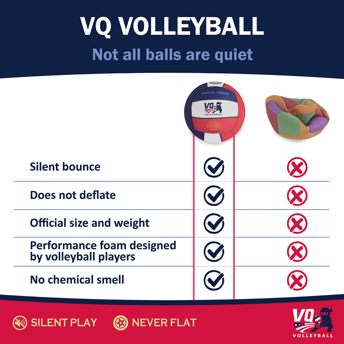 The VQ Volleyball - Chicago